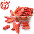 Baya de goji orgánica del barbarum del lycium de la baya de Ningxia Goji para la venta